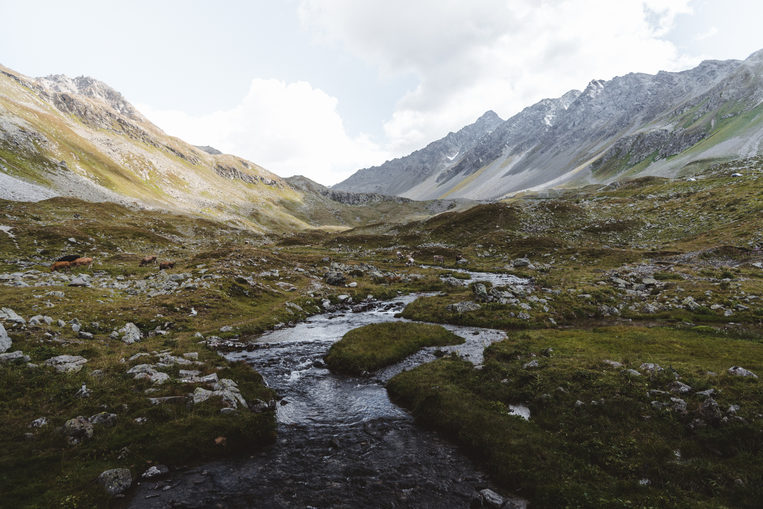 photo of summer hike